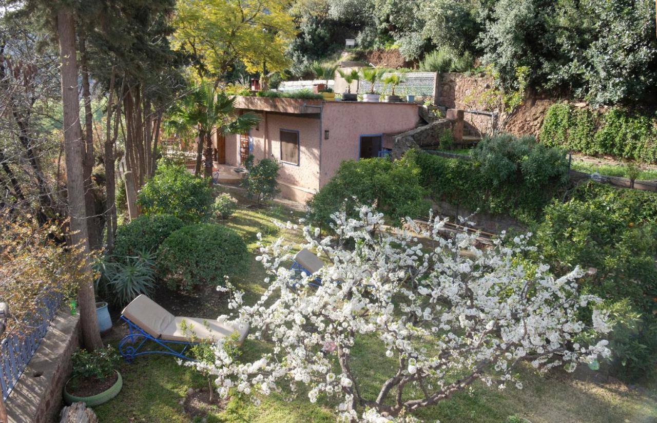 Auberge Le Maquis Aghbalou Exteriér fotografie